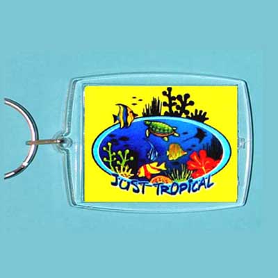 Acrylic Keyring Tropical Reef